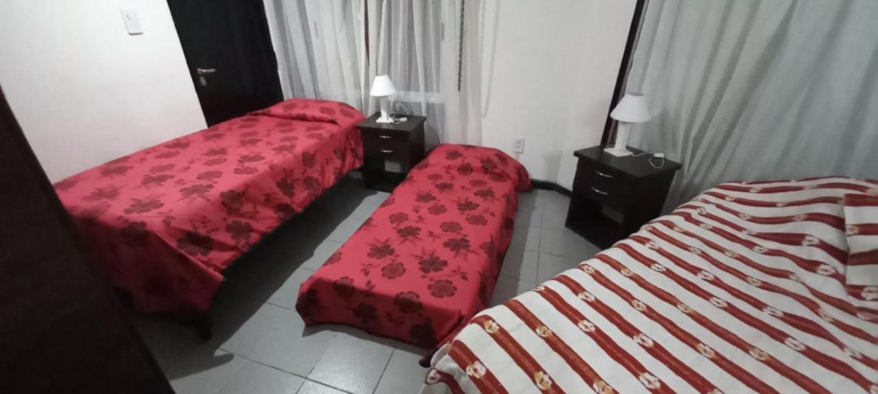 Apartamentos Willy - En Zona Residencial Con Estacionamiento ميندوزا المظهر الخارجي الصورة